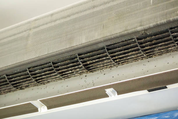 Best Professional Duct Cleaning Services  in Gordon, NE